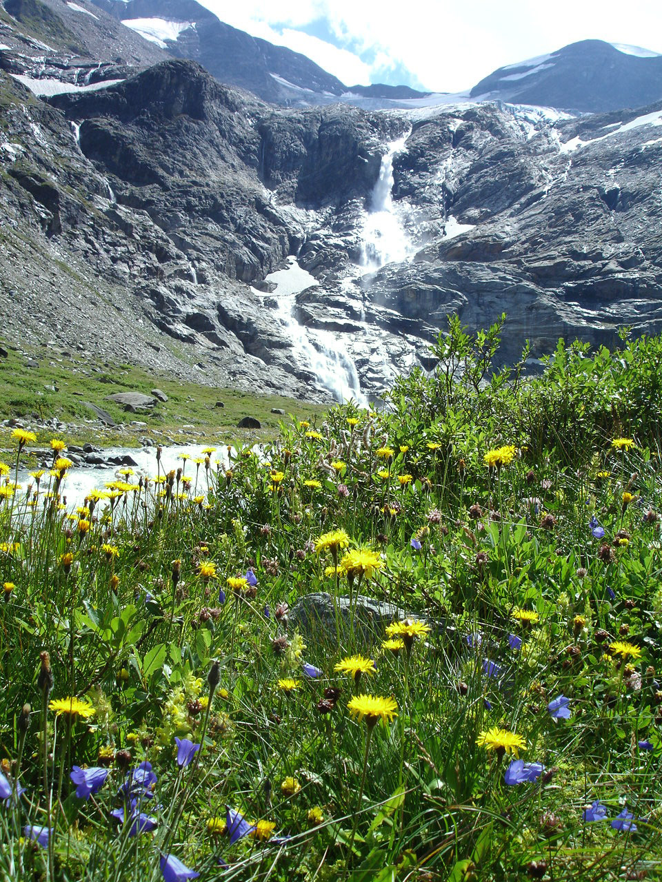 Begrünte Berge